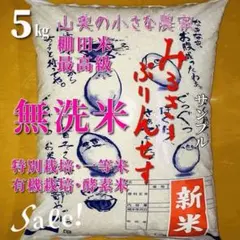 【Sale❗️殺虫剤農薬不使用】ミルキープリンセス玄米５kg「無洗米に精米後５キロのサムネイル