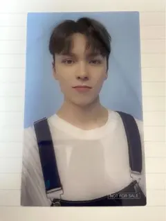 SEVENTEEN セブチ DREAM ユニバ特典 バーノン トレカ