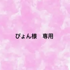 ぴょん様　専用ページ