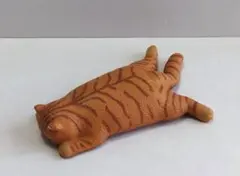 ZooZooZoo つかれた寝　ネコ