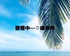整理中…♡様専用