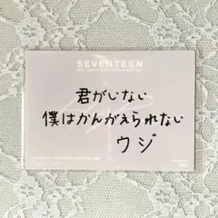 SEVENTEEN ウジ HARE メッセージ トレカ
