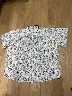 Item thumbnail for item 4e522903-36ec-47a7-92ab-ecaddd7dad0a