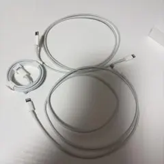 純正 Lightningケーブル 3本セット ホワイト