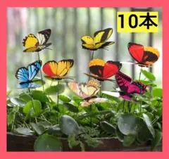 やあ様 リクエスト 2点 まとめ商品