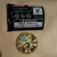 ディズニー　 刺繍　缶バッジ　ピーターパン　ビスケット　缶バッチ　2