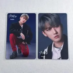 straykids TOP トレカ チャンビン 特典 2枚セット ソニミュ