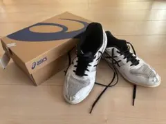 Item thumbnail for item 7bbdb58a-11d3-49da-9f48-c2cecdbd7e1c