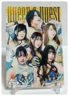 プロレス カード　林下詩美　新日本プロレス　スターダム　 カード コレクション