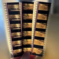 2026年最新】ジブリ フィルム 千と千尋の人気アイテム - メルカリ