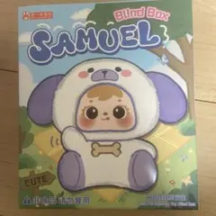 SAMUEL Blind Box スクイーズ - メルカリ