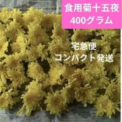 食用菊　カシロの苗　3＋2本　匿名配送 食用菊 カシロの苗 3＋2本 匿名配送 - メルカリ