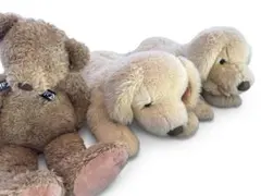 犬とクマのぬいぐるみセット