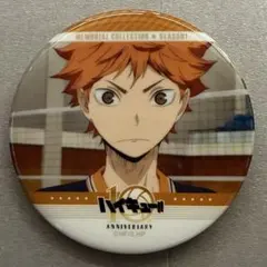 ハイキュー 日向翔陽 缶バッジ セット