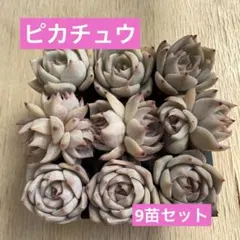 NOKKO様 リクエスト 3点 まとめ商品