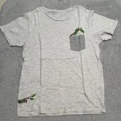 はらぺこあおむし　グレー　Tシャツ Ｍ