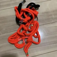 Item thumbnail for item f5241275-14ee-4454-a74f-31c66574a3b0