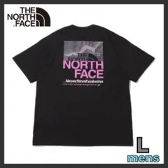 ノースフェイス ショートスリーブハーフスウィッチングロゴティー ブラック L