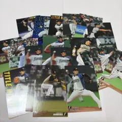 北海道日本ハムファイターズ　プロ野球チップス　カード