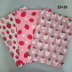 NO.20　いちご柄ランチマット　25×35　入園入学　新学期　ハンドメイド