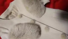 SNIDEL　ノーカラー　ファー付きコート　リアルファー　ぽんぽん　紗栄子さん