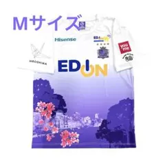 サンフレッチェ広島 24ピースマッチコンフィットTシャツ 2XL 3/8（金） 新商品販売のお知らせ | サンフレッチェ広島