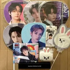 StrayKids スキズ Lee Know リノ うちわ タペストリー　まとめ