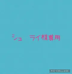 シュ　ライ様専用