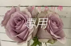 ❀ご購入前にコメントお願い致します❀ 輸入バラ 苗 ブルーラグーン