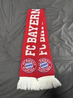 fc bayern munchen muffler
