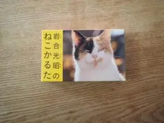 日めくりニャンコ！2025年(卓上日めくりカレンダー猫版) 本体＋台座
