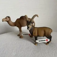 Item thumbnail for item fada4217-2e6e-40f3-a637-408359dbd366