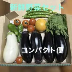 新鮮野菜の詰め合わせセット　コンパクト便のサムネイル