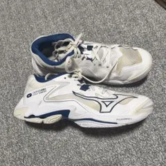 ミズノ Wave Lightning Z8 バレーボールシューズ 25.0cm