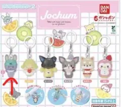 ジェオチャムめじるしアクセサリー ちまた