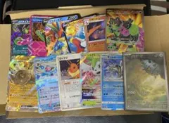 ポケモンカード　引退品　イイネイヌex SR イーブイ　adv テッシード　AR