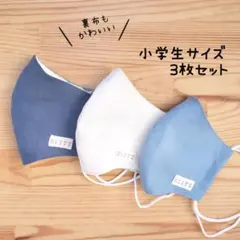 【無地マスク】布立体マスク 3枚セット 小学生 子供 電車 宇宙 恐竜 男の子