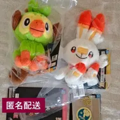 ポケモン一番くじ　E賞　ミズゴロウ　アチャモ　2個セット　おまけ付き ポケモン一番くじ E賞 ミズゴロウ アチャモ 2個セット おまけ付き