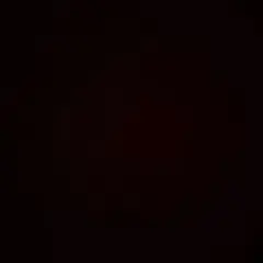 【さな様専用】