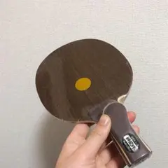 卓球 ラケット 中ペン 裏面ドライブ 専用ラケット 中国式ペン 神龍木　F7