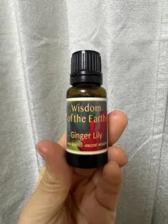 2026年最新】wisdom earthの人気アイテム - メルカリ