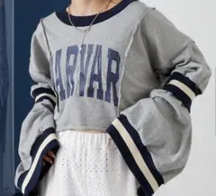 Item thumbnail for item 380188a7-ad6c-4fa7-8838-0cb92ef0e192