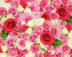 めぐる様♥ヘッドドレス＆イヤリング◇新品ブライダルフラワーアクセサリー結婚式