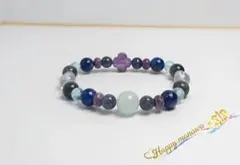 ✽Papillon of the Moonlight✽