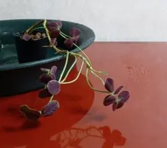 えみみ様 リクエスト 3点 まとめ商品