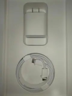 Apple純正　USB-C編み込み60W急速充電ケーブルと20W充電器セット
