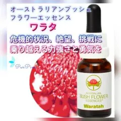 2026年最新】オーストラリア ブッシュ フラワーエッセンスの人気