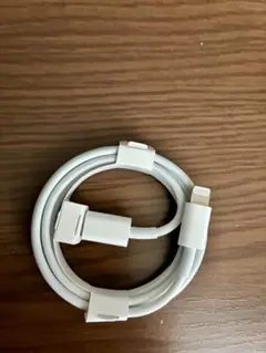 Apple SE第3世代 Lightningケーブル ホワイト