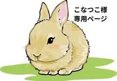 こなつこ　様、専用ページ♡