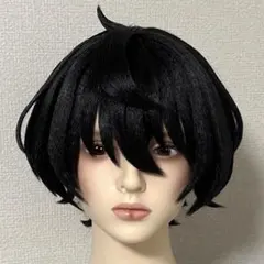 あんさんぶるスターズ あんスタ コスプレ ウィッグ 朔間凛月